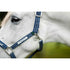 Horseware Fieldsafe Headcollar